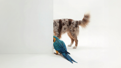 Something extraordinary is coming…