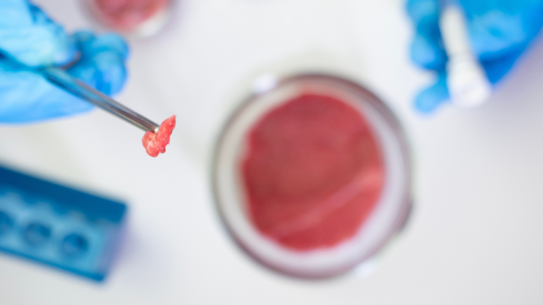 New research highlights sustainability gains in cultivated meat and insect protein