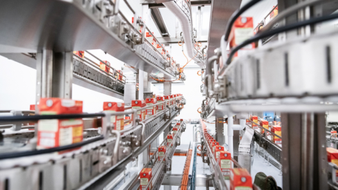 Why brands are turning to Naturediet to manufacture next-generation wet dog food