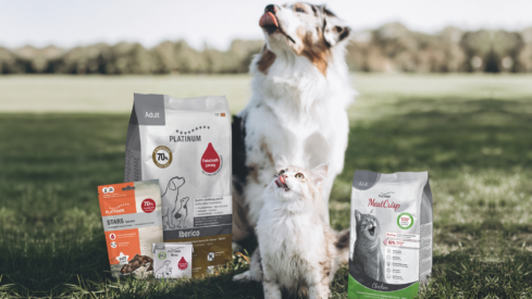 PLATINUM invests in international expertise to drive next growth phase