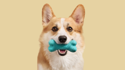 Playology®: science-backed innovation