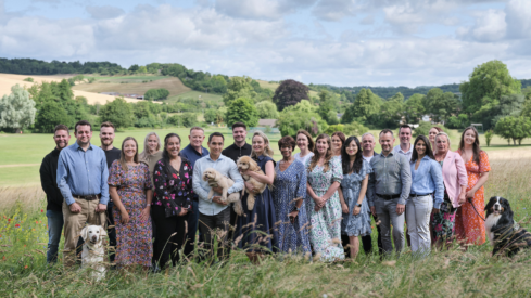 Five premium brands, one strategic partner