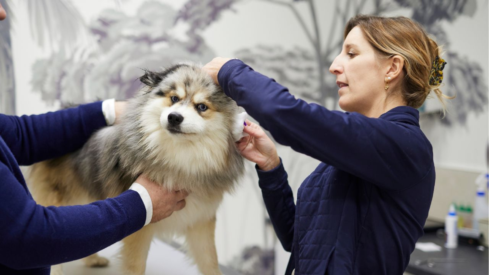 Pet business drives Virbac’s performance in Q1