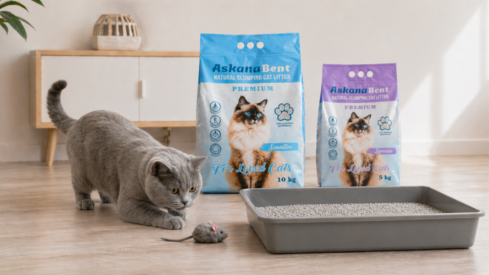 Rethinking bentonite cat litter: how sodium clays are setting a new standard