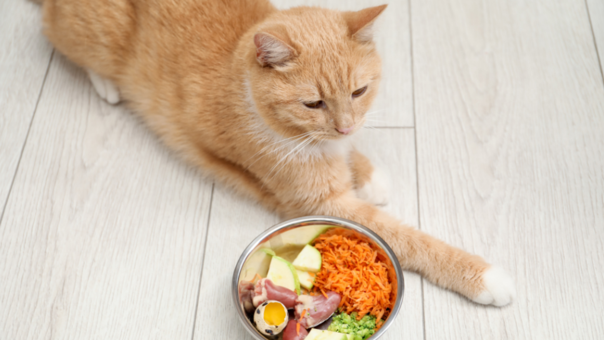 Mediterranean inspiration. Industrial precision. Market impact.