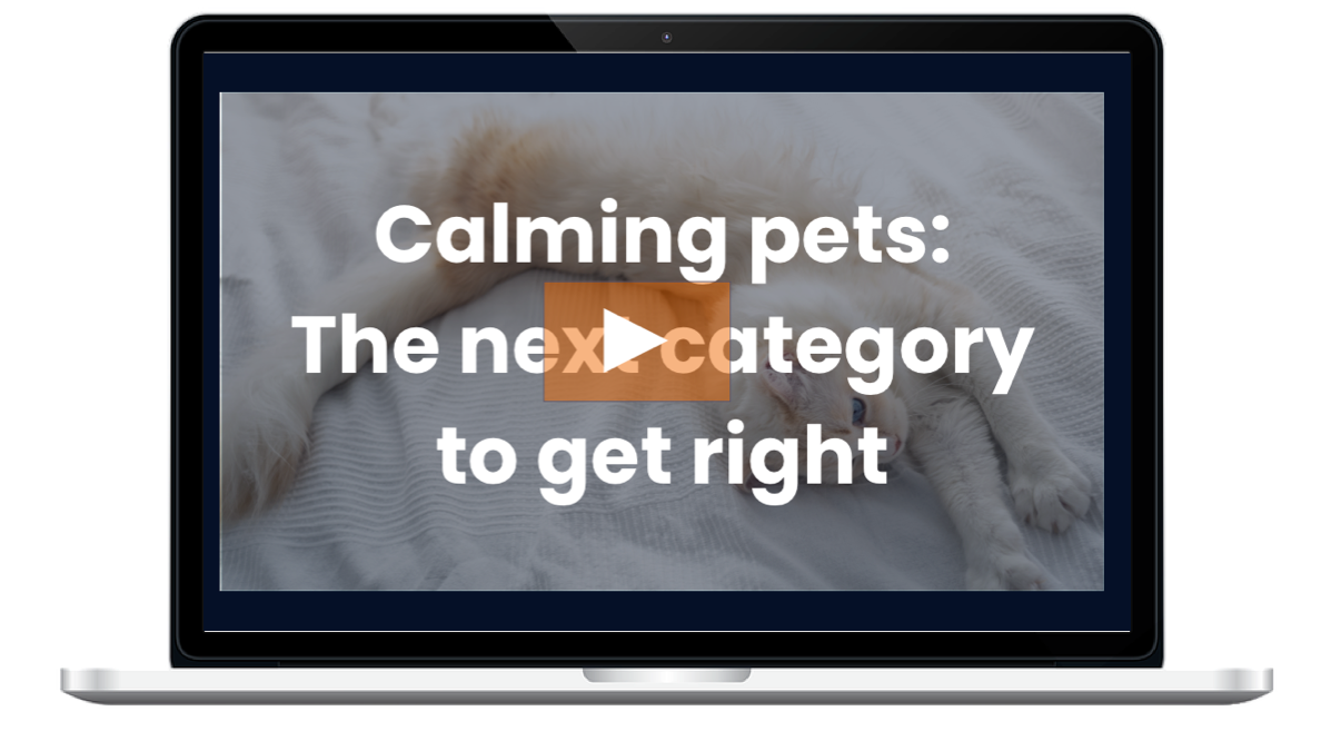 Calming pets: webinar