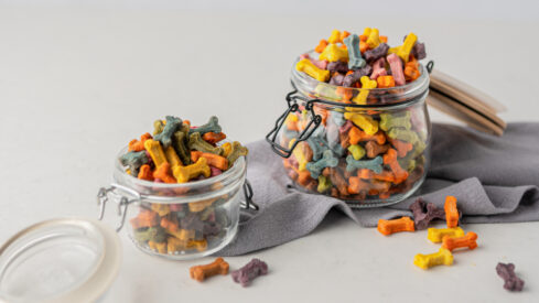 EXBERRY® plant-based concentrates create new coloring opportunities for pet food