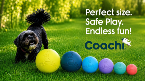 Coachi relaunches heritage Boomi Ball to support behavior-led play