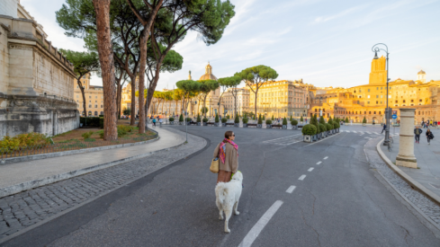 Italian pet market 2025 (II): Dogs lead household ownership in 2025 despite cats outnumbering them