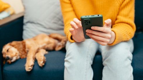 Zooplus and Arcaplanet lead Italy’s online pet retail landscape