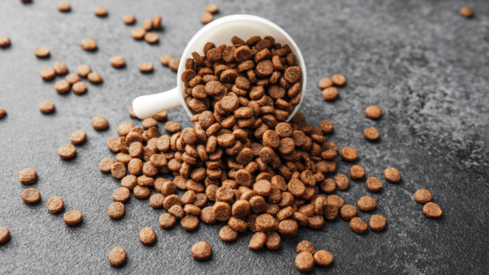 Global pet food production grows 2.4% in 2025, slowing from previous years