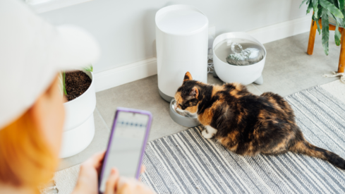 Pet retailers double down on apps to drive loyalty and sales