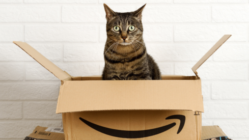 Data: Amazon Pet Days generates nearly 0M in US pet supply sales