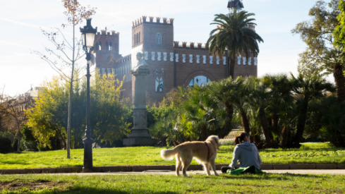 Pet parents in Spain: high ownership, steady spending and in-store loyalty