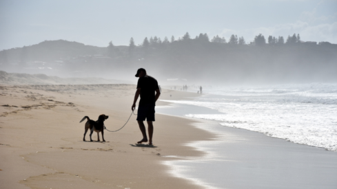 Oceania: Pet owners reveal top pet care priorities