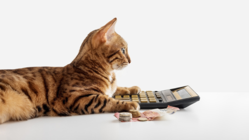 Inflation snapshot: Pet product prices stabilize in June while service costs remain elevated