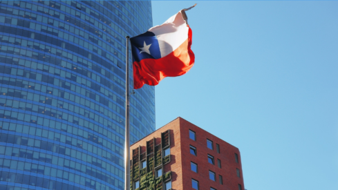 Chile pet market (II): supermarkets dominate pet care purchases, social media gains ground