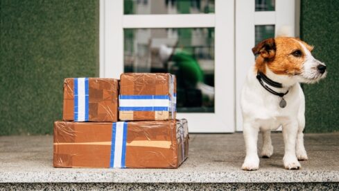 Pet supplies among the least returned e-commerce categories in Switzerland