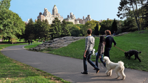 2010-2025: US pet ownership shifts after 15 years of steady growth