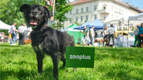 Zooplus launches marketplace in Germany: will it scale across Europe?