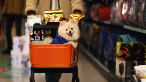 Private label, quick delivery and sales incentives boost Grupo Petz Cobasi’s Q2 growth