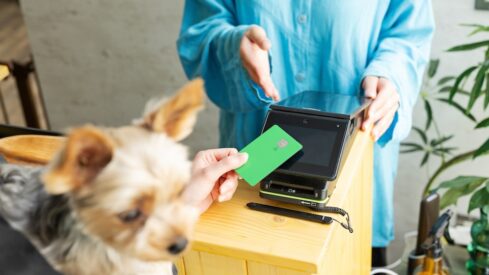 Market performance (I): US pet industry grows while Brazil stagnates