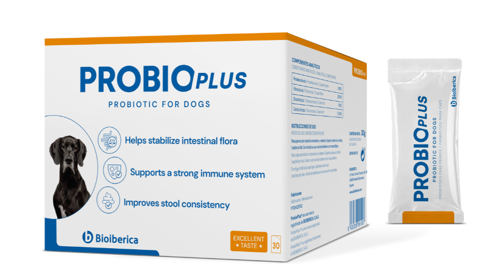 Probioplus: Triple-biotic supplement for dogs
