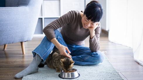 Simply the best cat food palatant