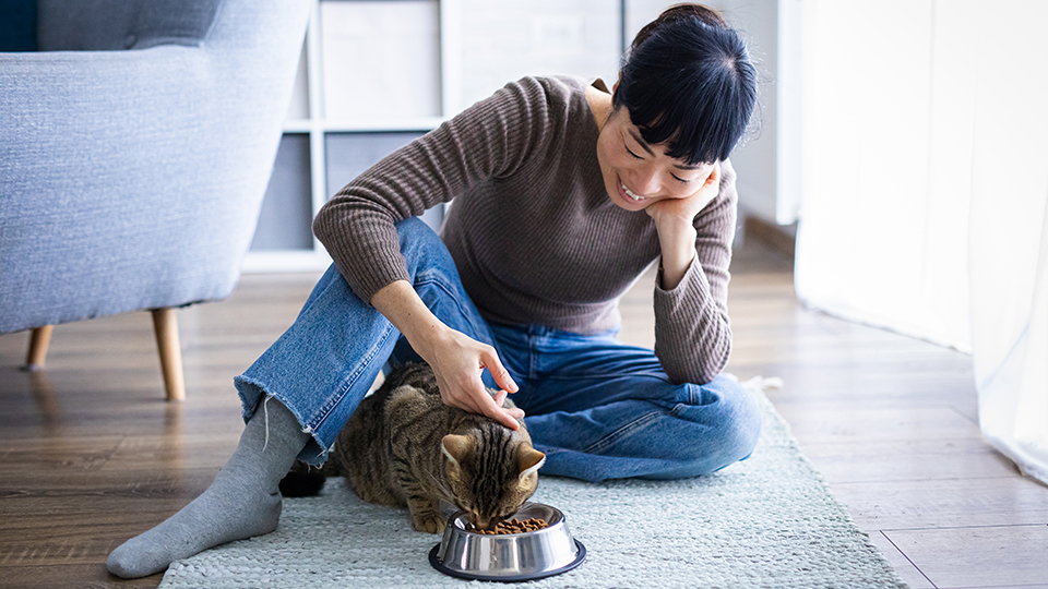 Simply the best cat food palatant