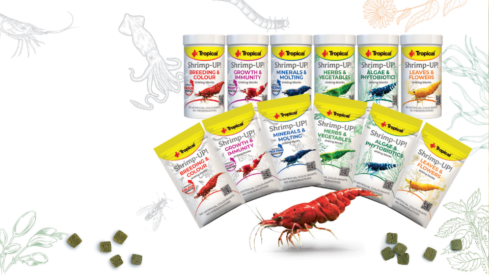 Introducing Shrimp-UP! – Tropical’s new food line for shrimp