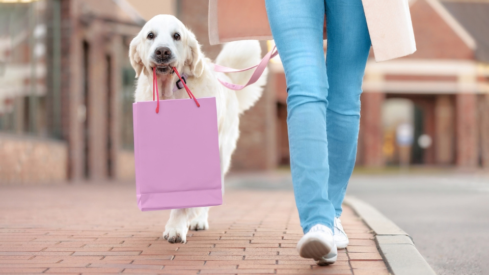 Pet industry pulse (I): Retailers post growth as expansion and loyalty drive sales