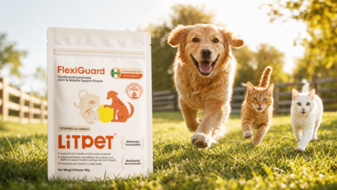 LitPet’s pill-free approach to joint care