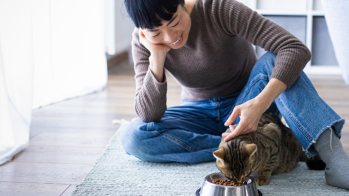 New product unlocks the secret to feline feast appeal