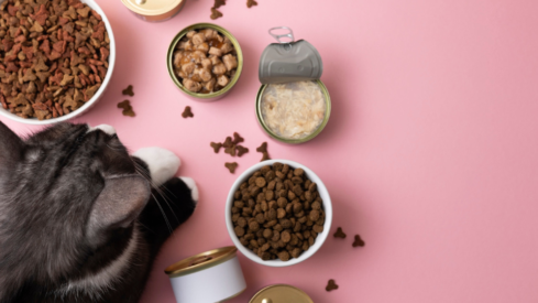 The next pet growth bets: cats, treats and fresh food