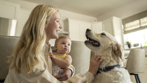 The gut is running the show: Why the microbiome has become pet nutrition’s new frontier