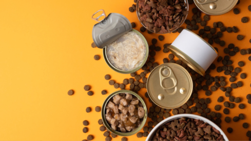 Pet industry pulse (II): Manufacturers deliver growth despite uneven market conditions