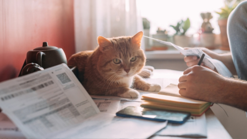 Inflation snapshot: Pet prices fluctuate as markets face higher interest rates