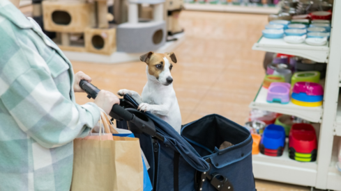 Analysis: European pet retail reflects uneven economic recovery