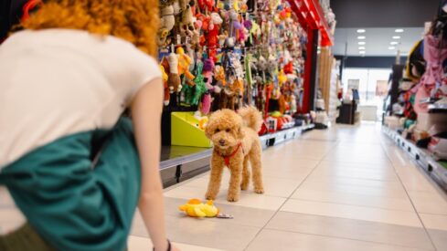 Pet specialty retailers extend their reach across markets