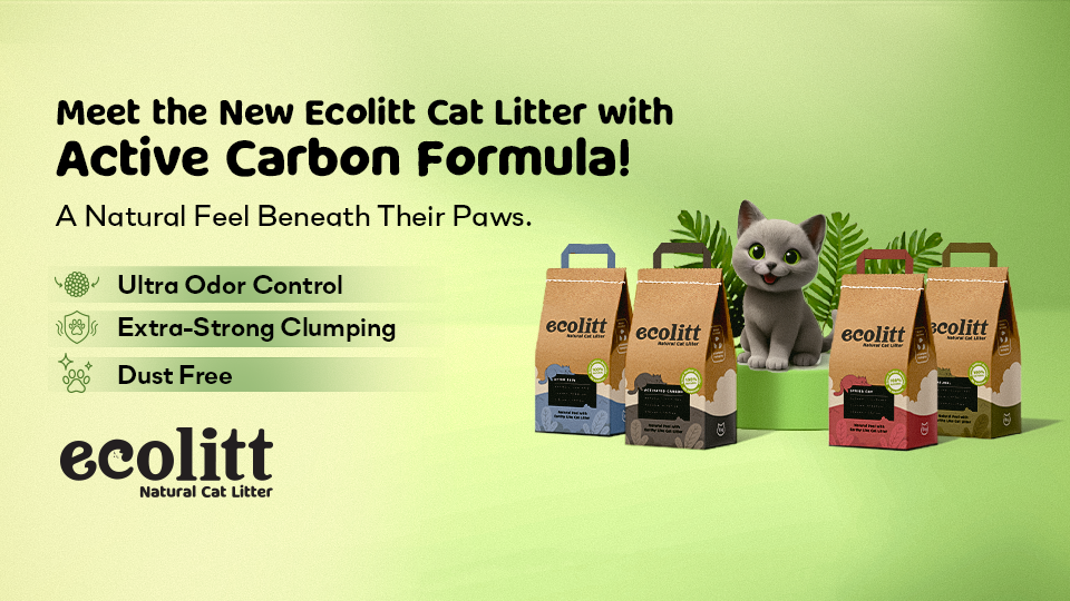 Meet the new and improved Ecolitt Cat Litter