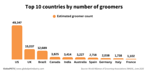 Top 10 countries by number of groomers