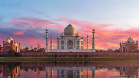 India: Brisk growth in a pet care hotspot