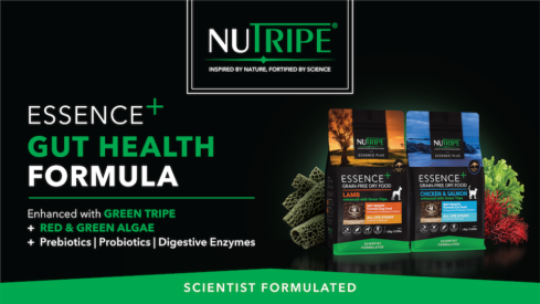 NUTRIPE Essence+: Enhanced Gut Health Formula with Green Tripe + Red & Green Algae