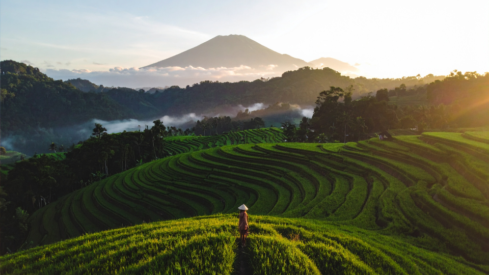 Indonesia: Pet food players raise their ambitions both at home and abroad