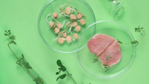What’s holding back cultivated meat?
