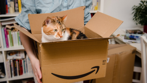Amazon captures nearly a quarter of US pet sales through first-party vendors