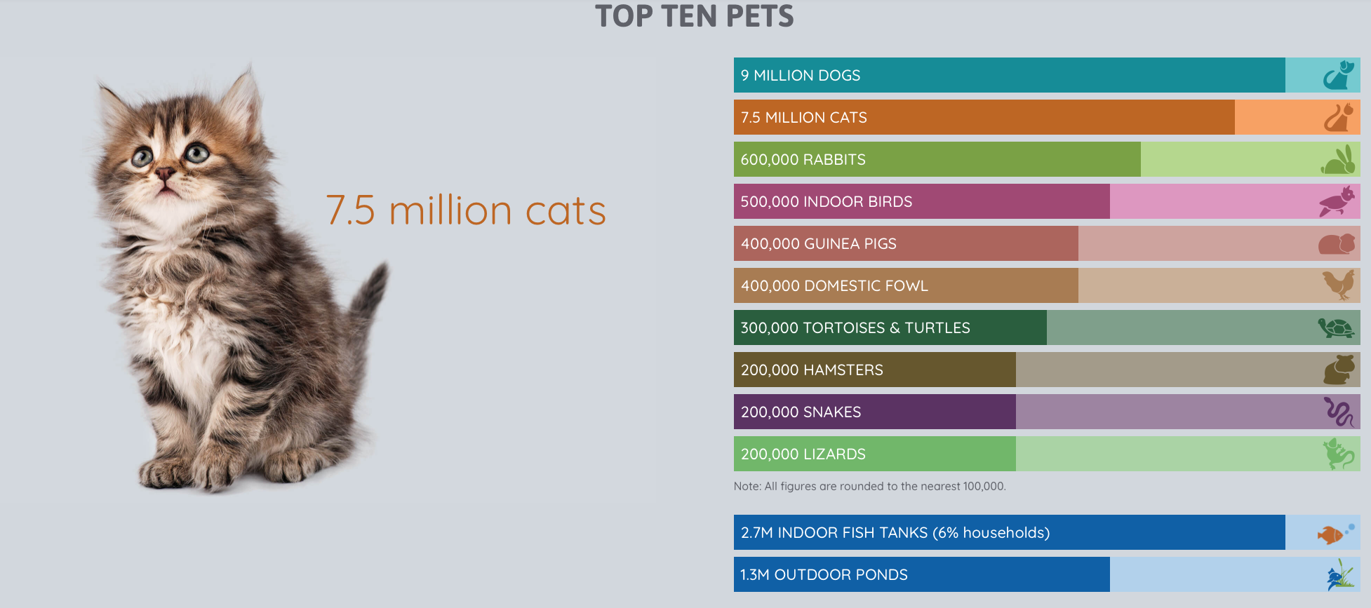 top ten pets