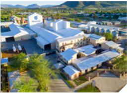 Montego Pet Nutrition