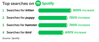 Top searches on Spotify